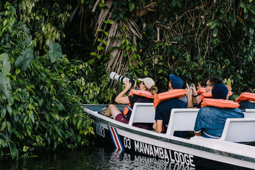 Discovering the wildlife of the forest 