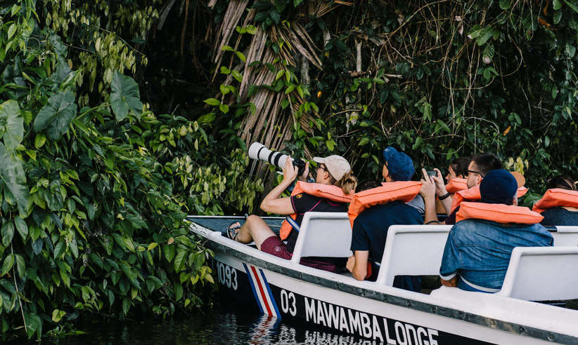 Discovering the wildlife of the forest 