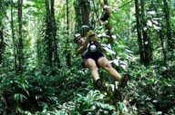 Adventures in the forest