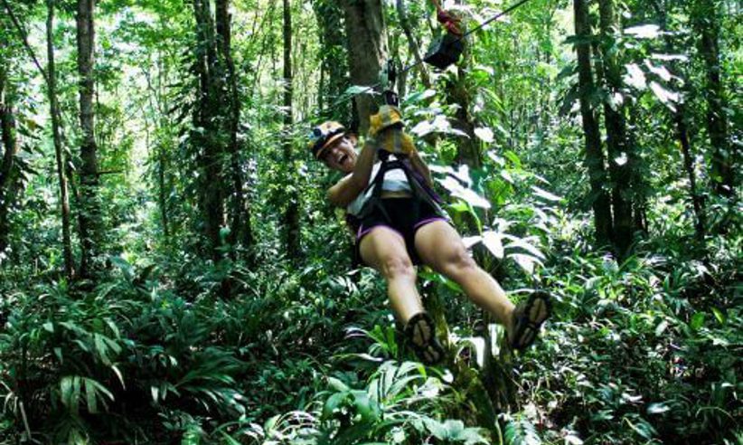 Adventures in the forest