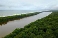 Magical Tortuguero