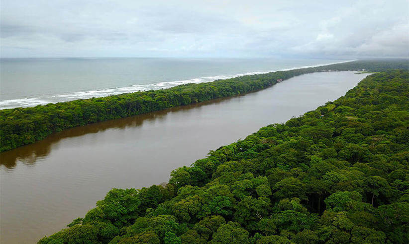 Magical Tortuguero