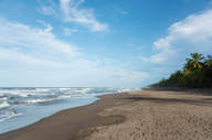 Observe nesting turtles from July to October 