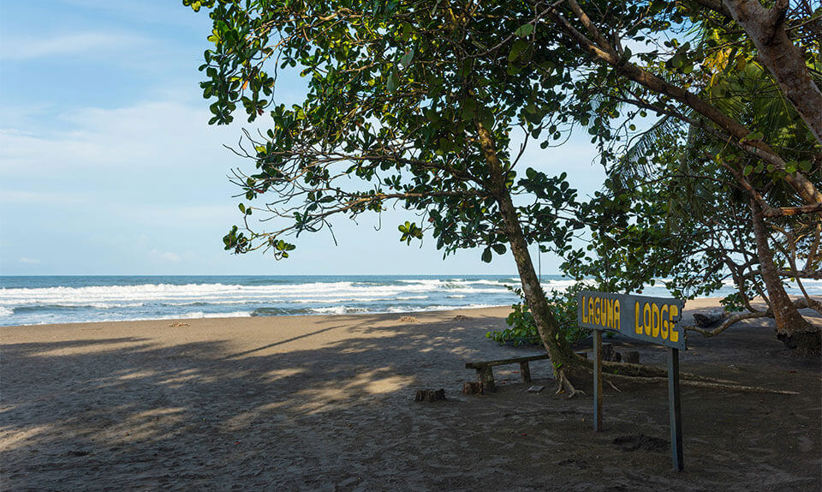 5 acres of deserted beach