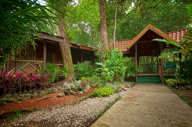 Your base in the forest 