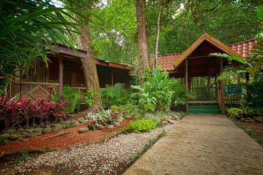 Your base in the forest 
