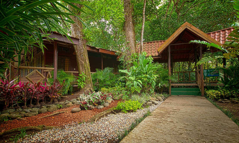 Your base in the forest 