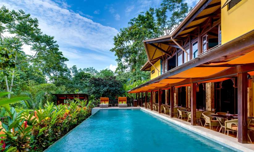 Luxury in the forest