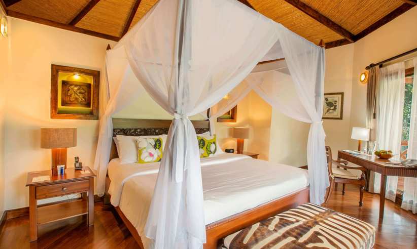 Luxurious rooms 