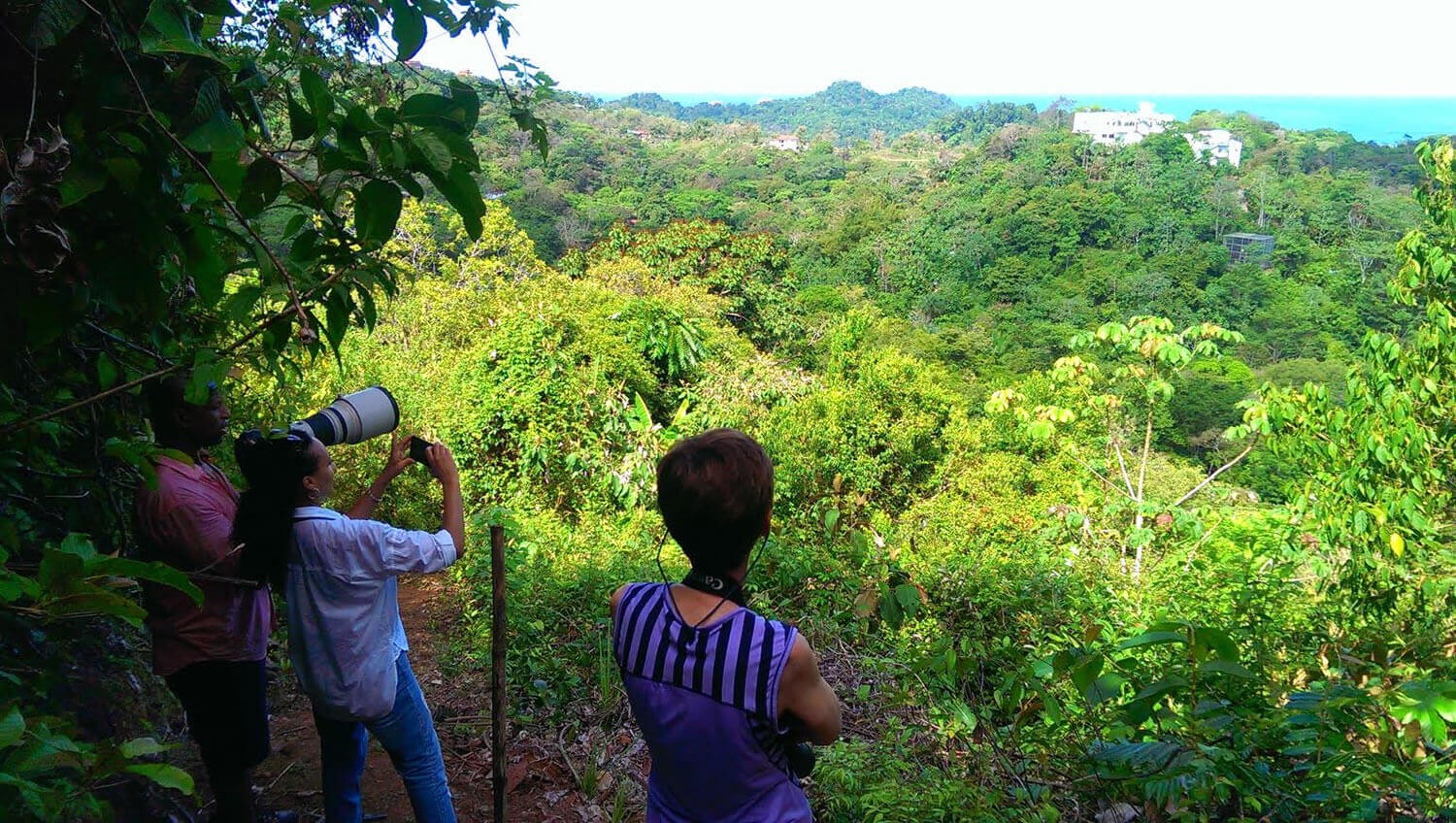 Views over the reserve