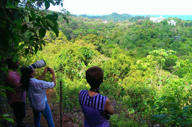 Views over the reserve
