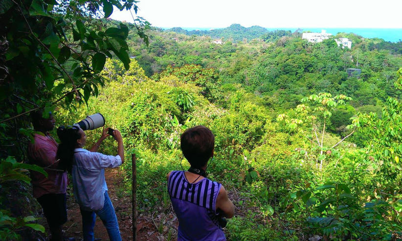 Views over the reserve