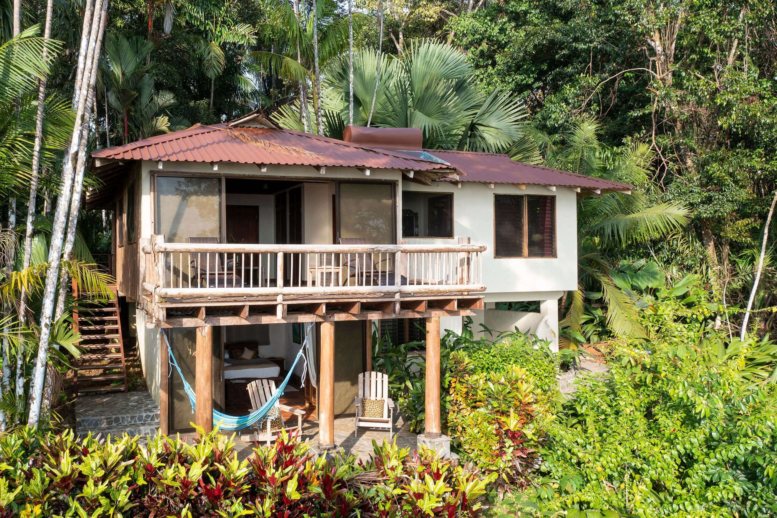 Your home in the rainforest  