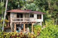Your home in the rainforest  