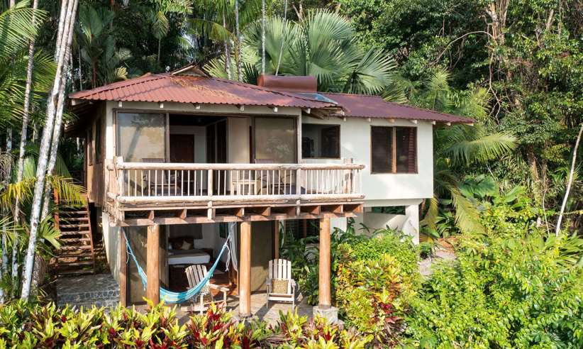 Your home in the rainforest  