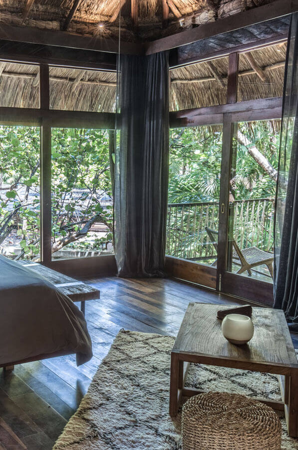 Jungle suite 