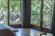 Jungle suite 