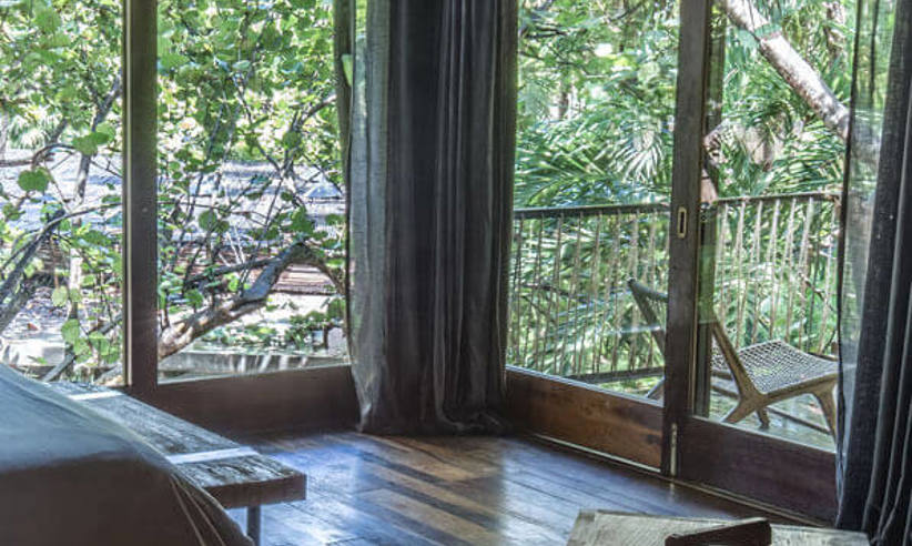 Jungle suite 