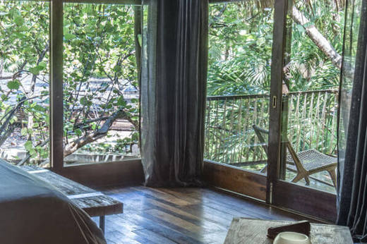 Jungle suite 