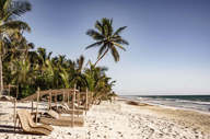 Your sun lounger awaits 
