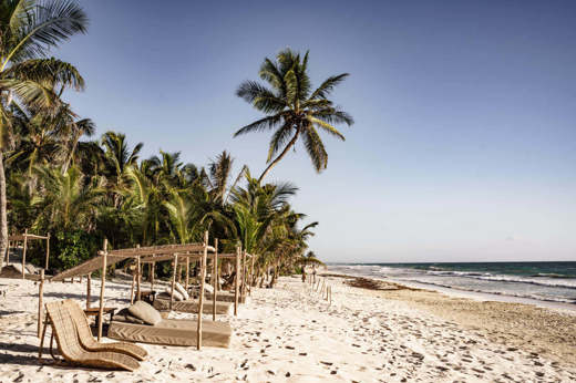 Your sun lounger awaits 