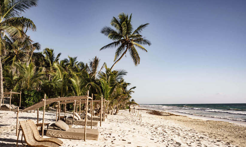 Your sun lounger awaits 