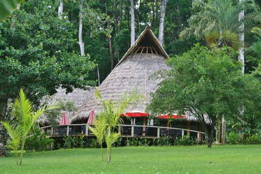 Lush gardens on the edge of the rainforest