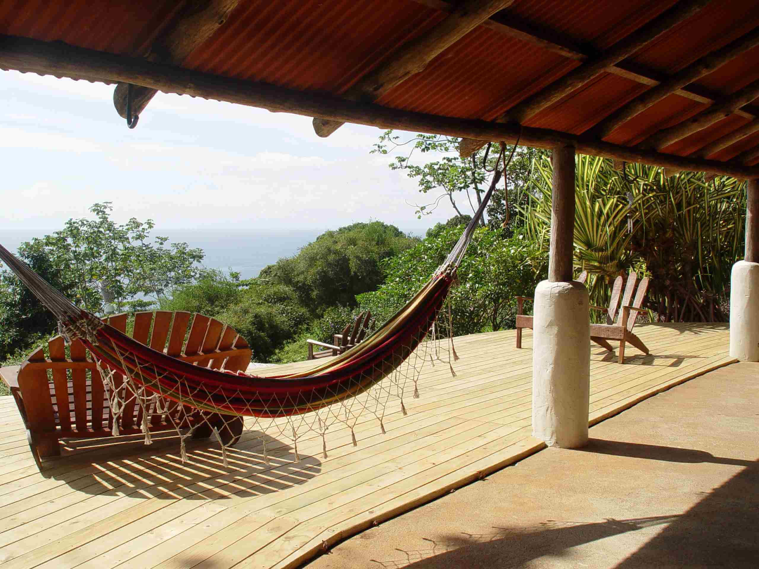 The view from your hammock