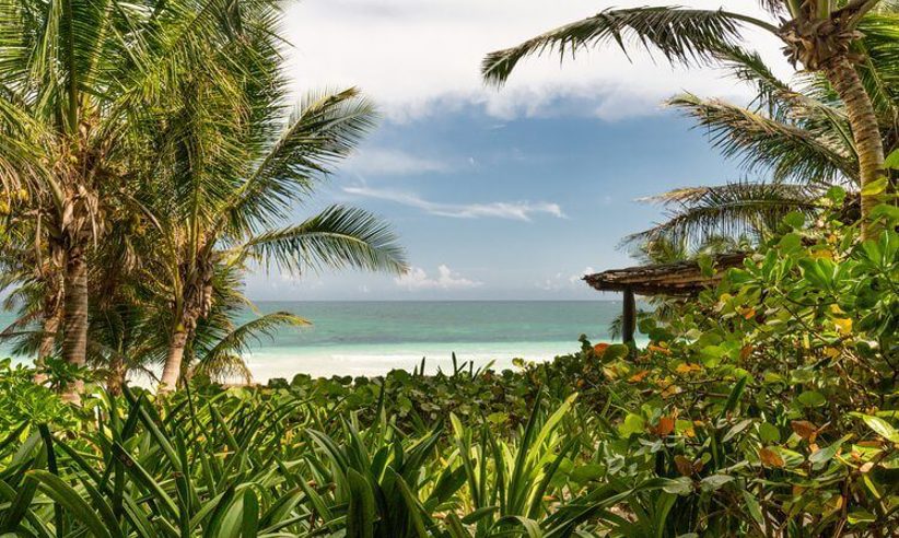 Wonderful sea views 