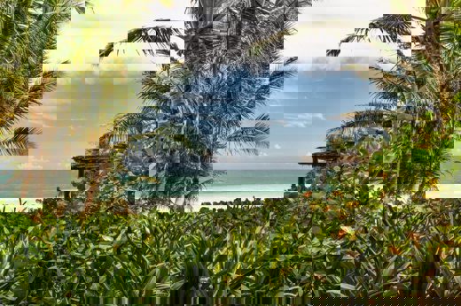 Wonderful sea views 