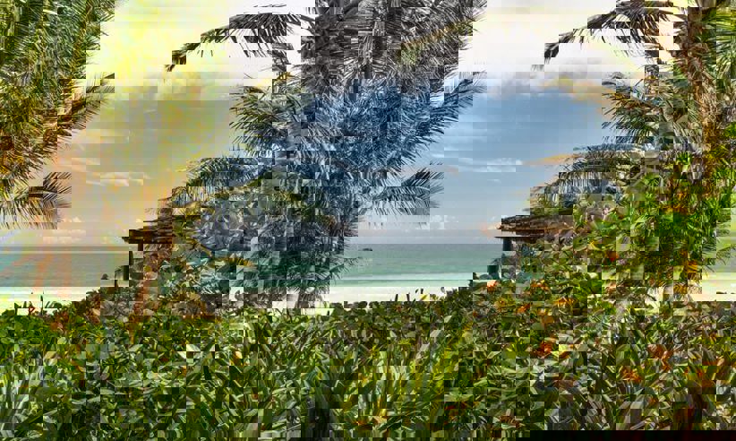 Wonderful sea views 