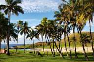 Palm-lined gardens at Nayara Easter island overlooking the coast with ocean views and green hills beyond. 