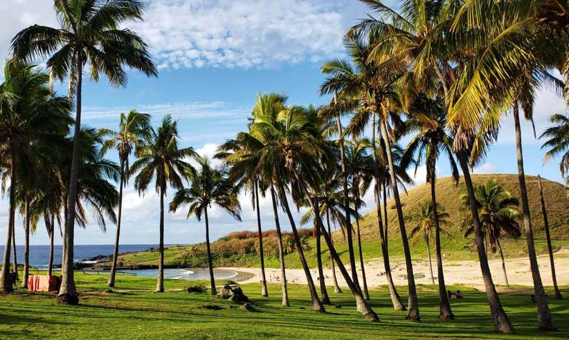 Palm-lined gardens at Nayara Easter island overlooking the coast with ocean views and green hills beyond. 
