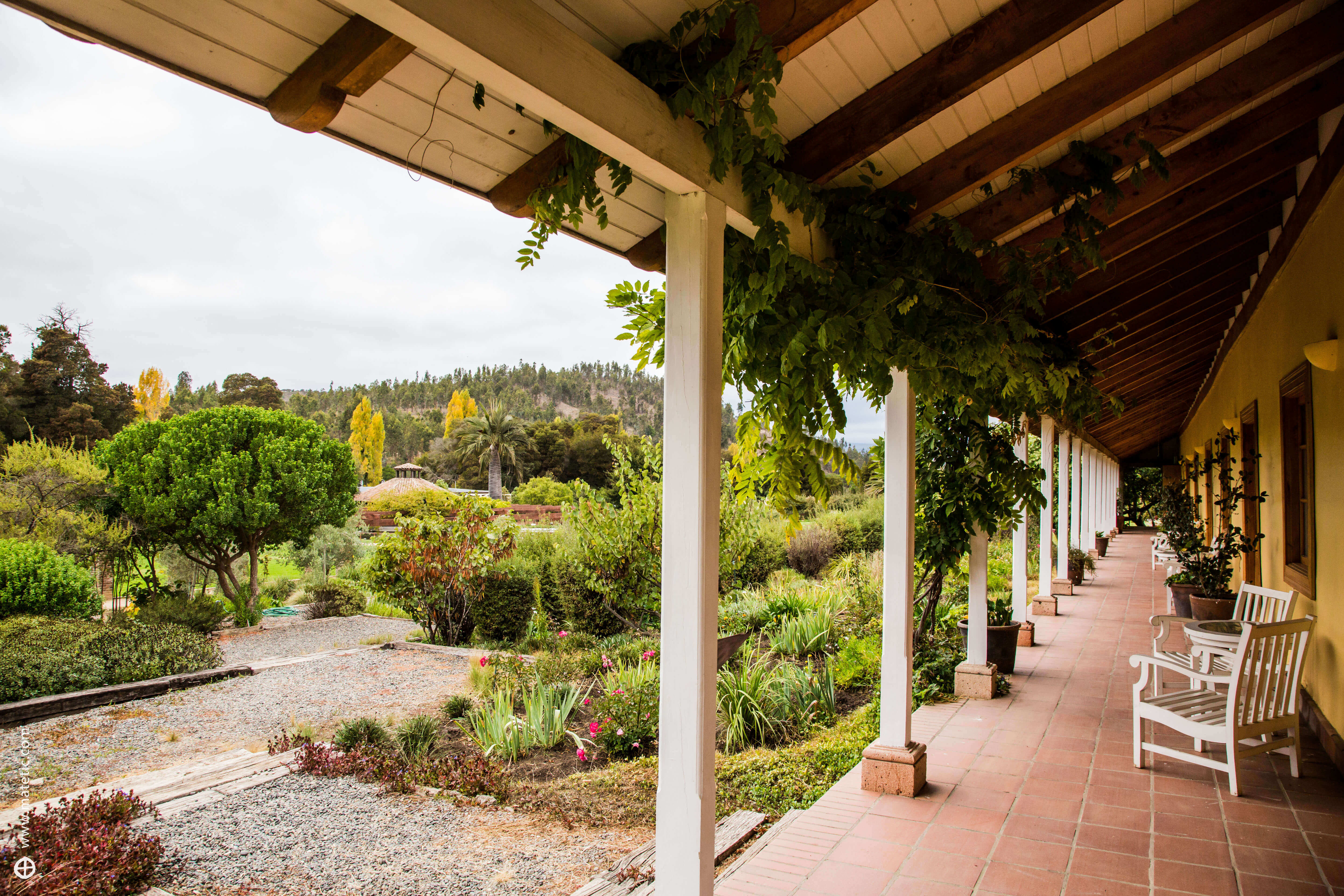 The view from your terrace