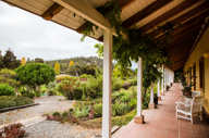 The view from your terrace