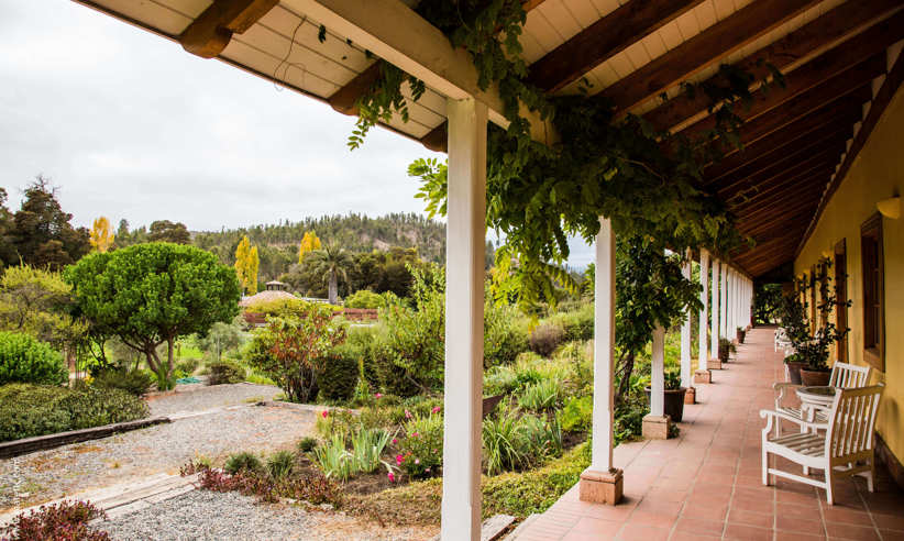 The view from your terrace