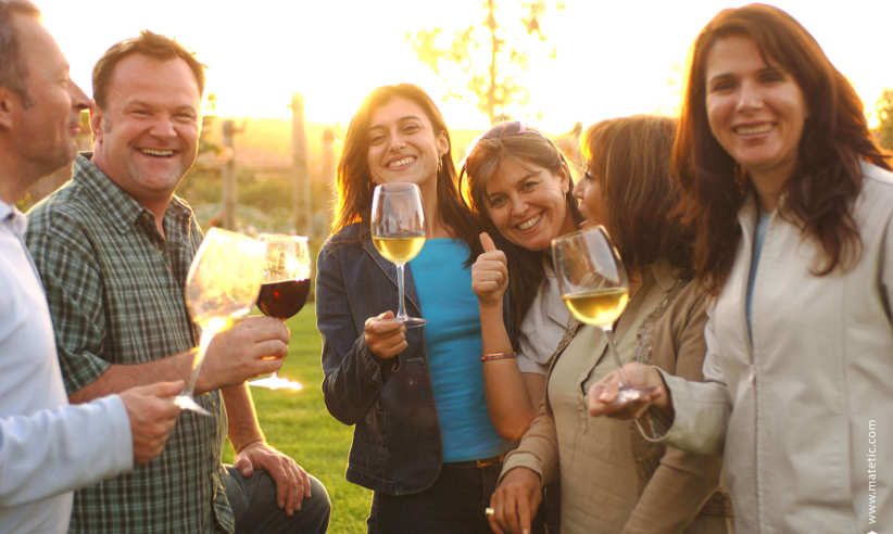 Enjoy tasting many different wines 