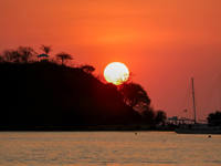 Fiery sunset over Flores Island with Silhouetted trees and a sailing boat on calm waters, casting reflections in Indonesia. 