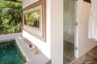 The plunge pool