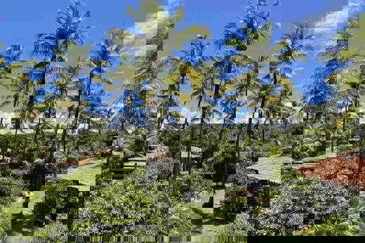 Immersed in nature 