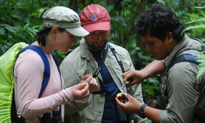 Explore with expert guides 