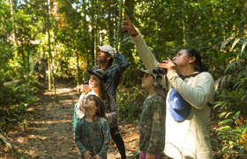 Exploring the rainforest