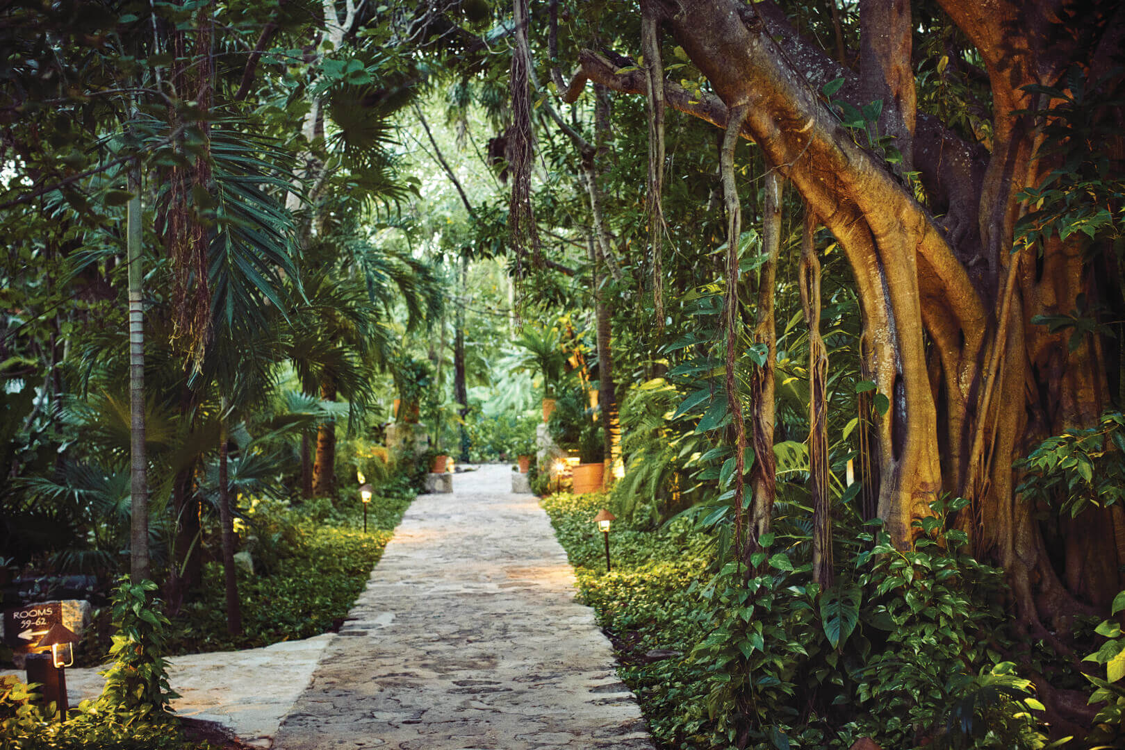 Beautiful gardens 