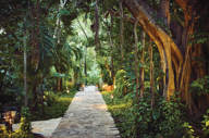 Beautiful gardens 
