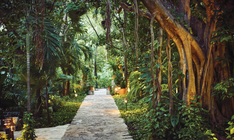 Beautiful gardens 