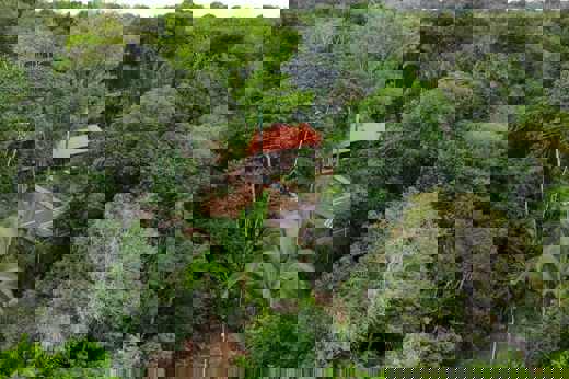 Your retreat in the Amazon