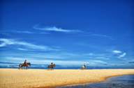 Horse riding on the beach 