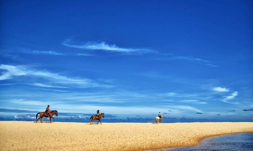 Horse riding on the beach 