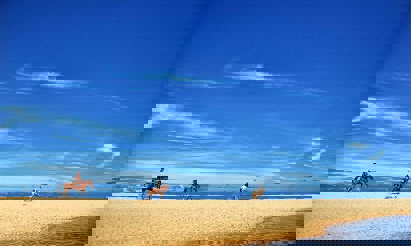 Horse riding on the beach 