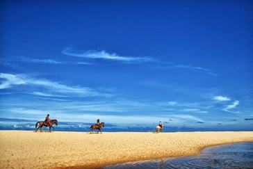 Horse riding on the beach 